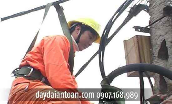 Dây đai an toàn A2
