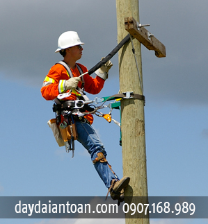 dây đai an toàn Protecta an toàn chắc chắn